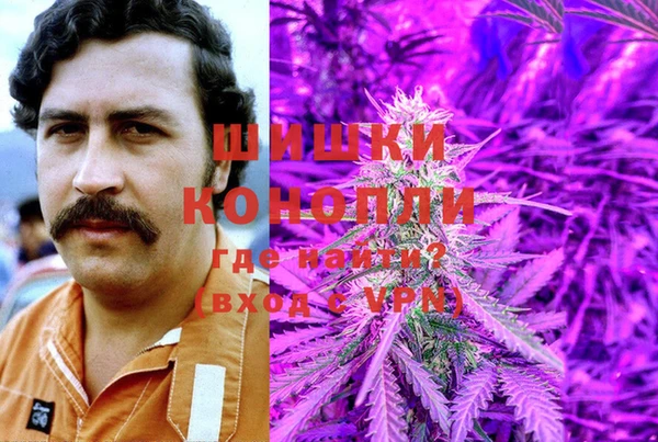 гидра Алзамай
