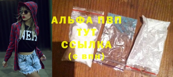 спиды Осинники