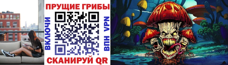 Псилоцибиновые грибы MAGIC MUSHROOMS  Кондопога 